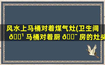 风水上马桶对着煤气灶(卫生间 🌹 马桶对着厨 🐯 房的灶头)